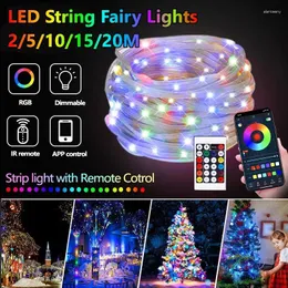 ストリングスRGB LED FAIRY STRING LIGHTS DREANCOLOR USBクリスマスライトBluetoothアプリスマートガーランドウェディングパーティーの装飾