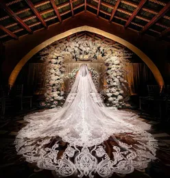 2021 Luxury White Ivory Lace Bridal Veils 3M Long 1t Appliced ​​Wedding Veil in Stock Cathedral Wed Accessoreis med COMB6467636