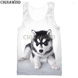 Erkek Tank Tops Tasarım Yelek Erkekler/Kadın Sevimli Hayvan Aptal Husky 3d Baskı Yelekleri Unisex Harajuku Tarzı Vücut Geliştirme Sokak Giysesi