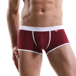 Mutande Intimo sexy da uomo quattro stagioni Boxer Mesh Traspirante Comfort Pantaloni elastici in nylon morbido Boxer Cueca Masculina