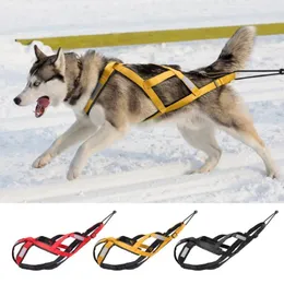 Imbracatura per cani da slitta Peso per animali domestici Tirare l'imbracatura da slitta Mushing X Indietro per cani di taglia grande Husky Canicross Skijoring Scootering270F