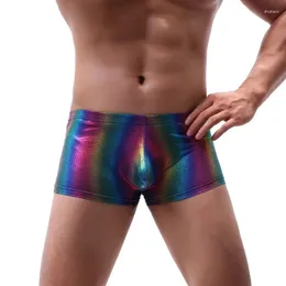 Underpants Men Underwear Elastic Boxer Shorts Rainbow Shinny Low Waist Cubwear Sexy Penis Pouch Trunks Cuecas Gay Panties Nightwear Mutande