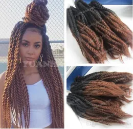 10 opakowań Pełna głowa syntetyczne przedłużenia włosów dwa tony Marley Braids 20 cali Czarny brązowy ombre afro perwersyjne warkocze Szybki expres5119362