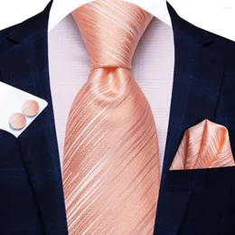 Laços listrados gravata rosa para homens 2024 presente moda marca festa de casamento gravata handky abotoaduras atacado hi-tie designer