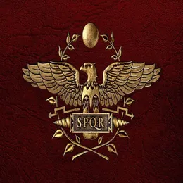 SPQR Roman Soldier Logo Symbol Art Silk Print Poster 24x36inch60x90cm 089325j