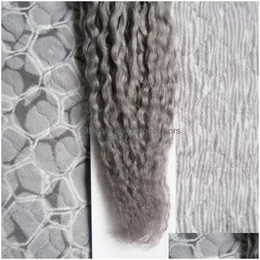 Loop Micro Ring Haarverlängerungen Kinky Curly Human 100 Remy 100G Links Silber Grey8466338 Drop Delivery Products Dhd35
