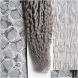 ループマイクロリングヘアエクステンションKinky Curly Human 100 Remy 100g Links Sier Grey8466338ドロップ配信製品DHD35