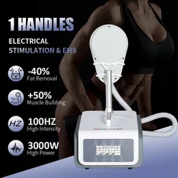 Ems Facial Slimming Machine 1 Handle Cellulite Reduction Ems Beauty Machine Ems Muscle Stimlation Machine