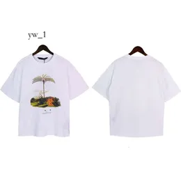 Palm Angles Gömlek Tasarımcı Tişört Palmiye Açıları Erkek T Shirt Palm Angle Tshirts Lüks Tişörtler Kısa Kollu Gündelik Yaz Plaj Sokak Giyim Üstleri Giyim 3873
