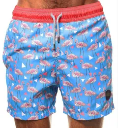 Sommar simningstammar för män flamingo pojke simning shorts män blå badkläder strand manlig baddräkt m2xl5793072