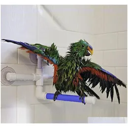 Inne zaopatrzenie ptaków Parrot Bath Prysznica stojąca stojak na stojak na Parrot Papugi i gryzienie pułapki Parakeet Bir Qylvfn BDESPORTS2859