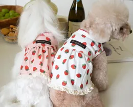 Hundebekleidung Super süßes Erdbeerkleid mit Spitze Haustierkleidung Schöne Kleidung Katze Teddy