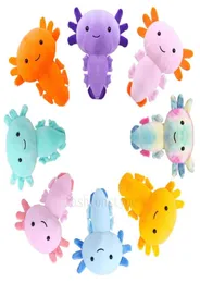 30 cm süße Cartoon-Salamander-Puppe Axolotl Plüschtier Geburtstagsgeschenk Stofftierkissen7581168