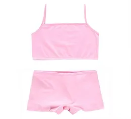 2setslot Training Bras Set for Girls Teenage Underwear Set Cotton Underwears For Girls Bra For814years2407028