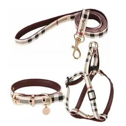 Harness Designer Dog Collar and Leasches Set Soft Justerable Printed Leather Classic Pet Collar Leash Set för små hundar Chihuahu3242