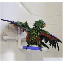 Inne zaopatrzenie ptaków Parrot Bath Prysznica stojąca platforma Platforma Parrot Papuga i gryzienie Parakeet Bir Qylvfn BDESPORTS272U