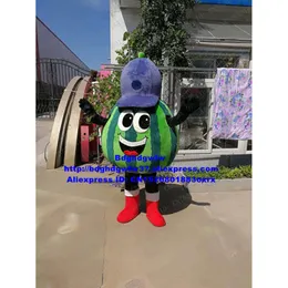 Trajes da mascote azul melancia melão mascote traje adulto personagem dos desenhos animados terno atrair popularidade atividades pai-filho zx1488