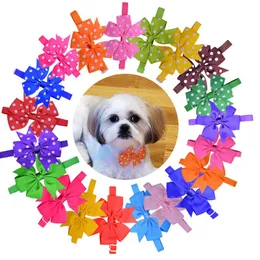 Bütün 500 pcs köpek eğim büyük yaylar evcil hayvan oog bowtie kravatlar evcil köpek köpek bağları aksesuarlar tımarlama malzemeleri 20 colour273v