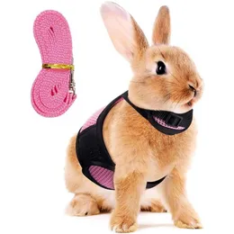 Hundhalsar Leases Harness Lead Soft For Rabbits Mesh Hamster Vest med Elastic L304D