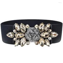 Belts 2024 Women Crystal Waist Cover 63- 77cm Rose Elastic Wide Dress Decorative Belt Versatile Windbreaker Black Luxury Bright