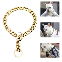 Hundhalsar metall stor guld färgkedja sommar husdjur mode tillbehör bulldogg krage små hundar husdjur halsband zc495272x