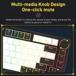 Dareu Wired Gasket Mechanical Keyboard nkeyロールオーバーマルチメディアボタン付きRGBバックライトドリームスイッチ240309