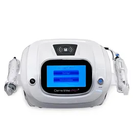 공장 가격 3 in 1 휴대용 중간 요법 Meso Gun Microneedling RF Dermashine Pro Machine with Cold Hammer