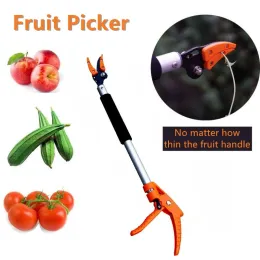 Greenhouses 0.62M Extra Long Telescopic Pruning Fruit Picker Hold Bypass Pruner Max Cutting 1/2 inch Tree Cutter Garden Tools Fruit Catcher
