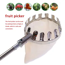 Cestini Asta telescopica per raccoglitrice di frutta con borsa Raccoglitrice telescopica per frutta Strumento per raccolta da giardino Melone Raccoglitore per frutta Cestino Asta