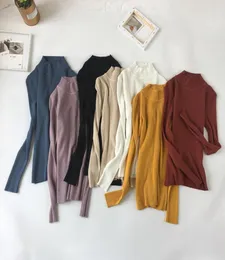 Wwenn Sweater Long Sleeve 2019 Autumn Women Pullovers سترة دافئة في فصل الشتاء القميص Mujer Turtleneck Tops Juqueta Feminina Y1178806