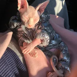 Odzież zimowy kombinezon dla kotów Gotas Sphynx kedi Katten kombinezon ubrania dla zwierząt piżamowych Mascotas Costume Honden Kleding