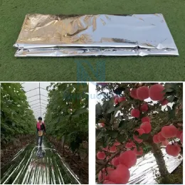 Estufas 100cm Largura Prata Jardim Membrana Vegetal Pomar Maçã Árvores Plantas Cor Mulching Estufa Dupla Faces Mylar Reflex Film