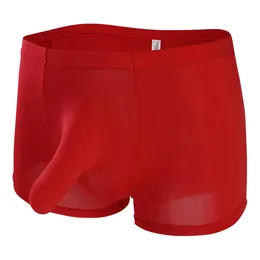 Underbyxor elefant näsa is siden underkläder jj platt hörn mäns shorts ropa hombre bekväm pantalones para hombres byxor personliga