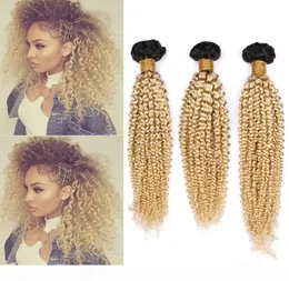 Blondynka Ombre Brazylijskie ludzkie splot włosów Wetkale 3pcs Kinky Curly 1B 613 Blond Ombre Virgin Human Hair Wefts 1030quot Mixe2922056