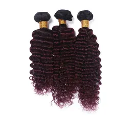 Burgundy Ombre Deep Wave Human Hair Bundles 3PcsLot 99J Wine Red Colored Hair Extensions Malaysian Virgin Unprocess Hair7490361