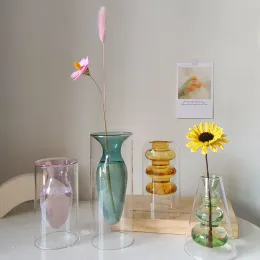 Vases Vase Living Room Decoration Modern Home Decor Terrarium Flower Pots Decorative Desktop Transparent Color Art Double Glass Vase