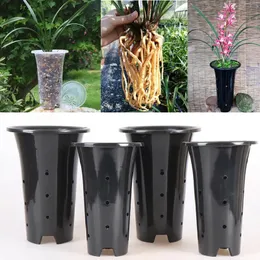 5 pçs orquídea pote engrossado vaso de flores controle respirável raiz planta plantador aprofundamento vaso para orquídeas casa decorações do jardim 240311