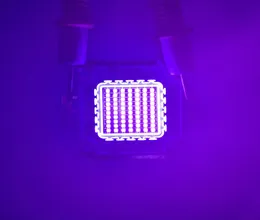 10w 30w 50w 100w luce led UV 45mil ultravioletto lampadina LED ad alta potenza UV 365nm 375nm 385nm 395nm 405nm perline luce ultravioletta LED2650296