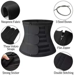 Män och kvinnor i midjan Support midjetränare Fitness Bastu Svett Neopren Magens bantningsbälte med blixtlås Body Shaper S-4XL 3 Färg 240313