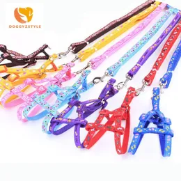 12pcs Lot Small Dog Pet Puppy Cat Adjustable Nylon Harness with Lead leash Multi-colors Patch Printed Collar Halter Harness Leas 2210p