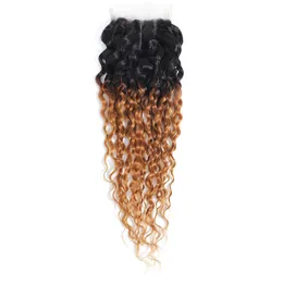 1B/27 Ombre Color Two Tones Color 4X4 Lace Closure Water Wave Free Part Brazilian Peruvian Indian 100% Human Hair 10-24inch