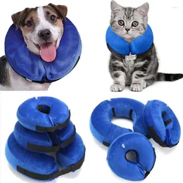 Coleiras para cães Pet Cat Inflável Confortável Recuperação Ajustável E-Collar Anti-Lick Suprimentos para Cães Gatos S-XL