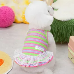 Ubrana odzież ubrania ubrania Letnie koronki Pet Pet Cat Kolorowe szczeniaki Suspird Sukienki dla dziewcząt