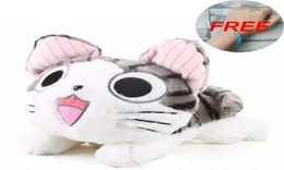 40 cm Plush Toys Chi Cat Pchane i miękkie lalki dla zwierząt Prezent dla dzieci Kawaii 20cm CHI039S Cat Toys Chi039s Sweet Home Anime LO7384907