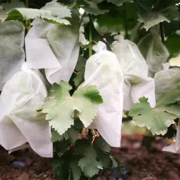 Borse 100 pezzi Sacchetti di protezione per frutta Sacchetti di protezione per zanzare Rete per piante da giardino Verdura Uva Proteggi sacchetti di rete per il controllo dei parassiti