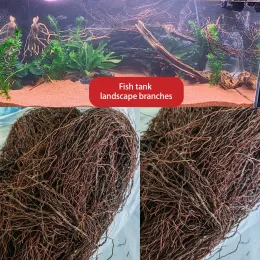 Dekorationer Fisk tankdekoration Acuario Aquarium Tree Root Branch Fish Tank Tree Trunk Ecological Rainforest Landscape Branches Plant