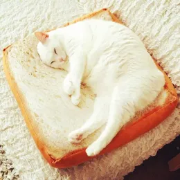 Mats Very Soft Bread Cat Mat Pet Pillow Sofa Bed Portable Lounger For Dogs Puppy Kittens Underpad Home Rug Cushion Cats House Beds