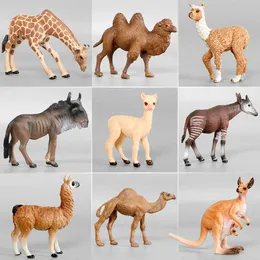 Bonecas animais realistas girafaalpacacameldeer animal zoológico sólido modelos de emulação pvc figura de ação brinquedos crianças estatuetas educativasl2403