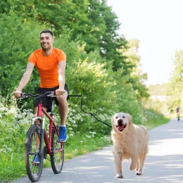 Tashes bisiklet köpek yürüyüşçü köpek yavrusu çekiş ipi evcil hayvan yürüyüş tasma bisiklet zinciri eller çeken eller ücretsiz açık hava güvenli ayarlanabilir