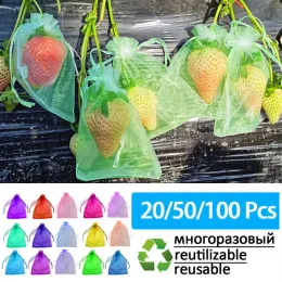 Väskor 20100 st fruktskydd Väskor Strawberry Grapes Pest Control Antibird Garden Netting Väskor Mesh PAG PLANTE VEGROABY GROW BAG